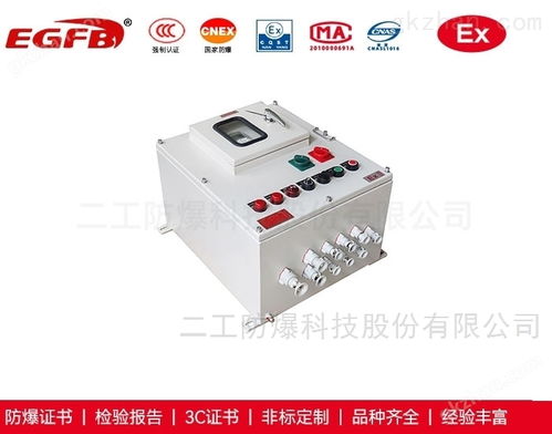 工業電爐熱處理用帶防護小門防爆配電箱